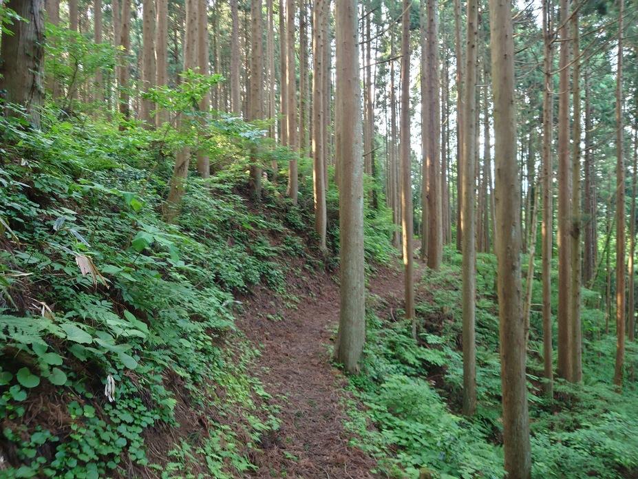 浦城