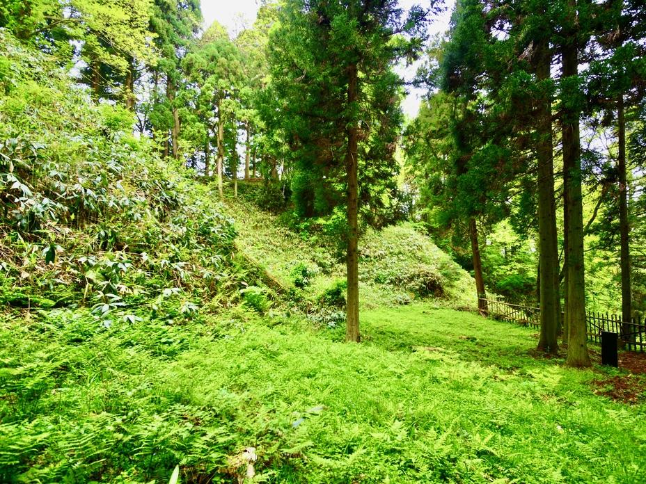 増山城