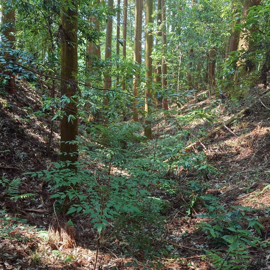 大宮城