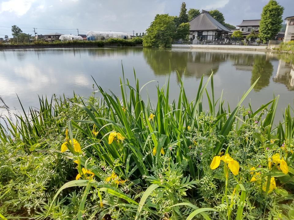 東根城