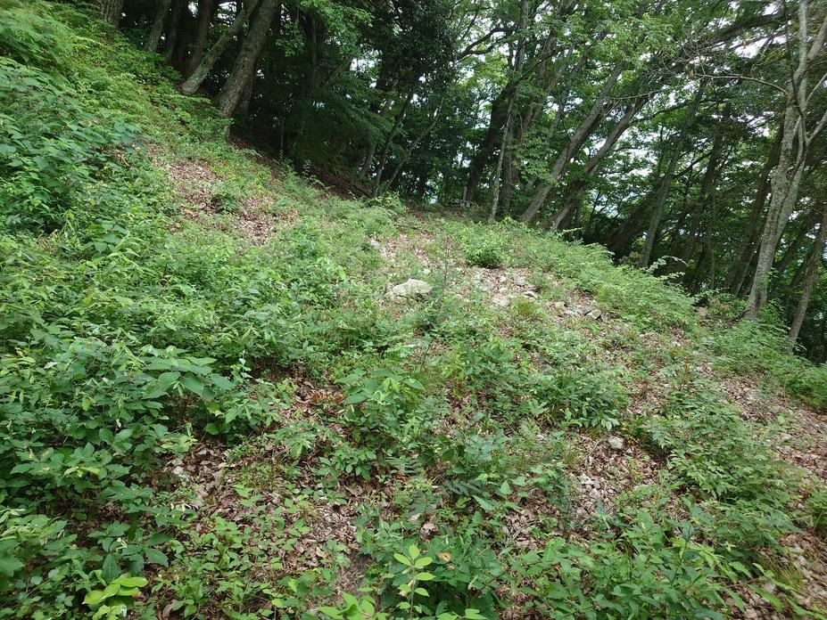 下瀬山城