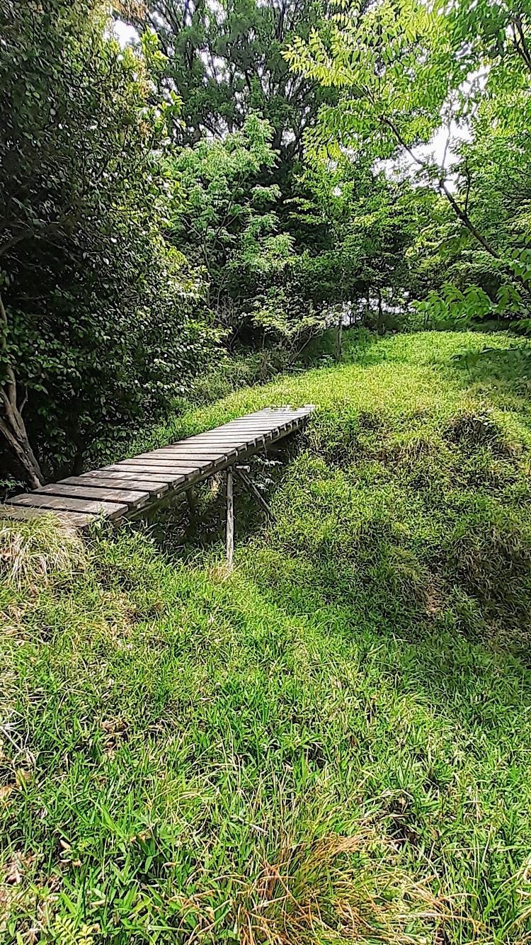 小谷城