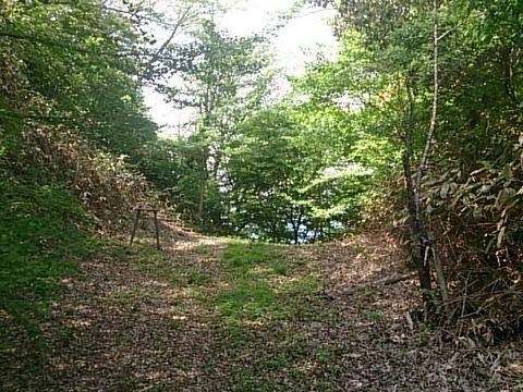 二ツ山城
