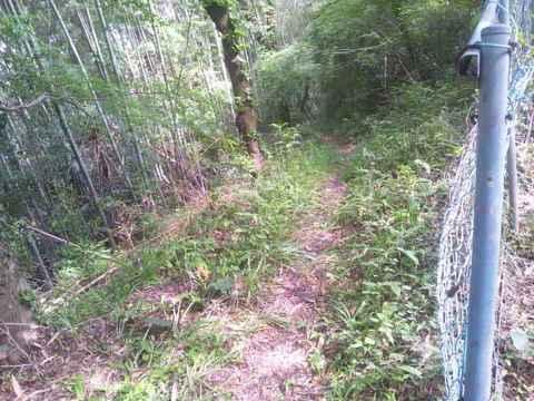 白地城