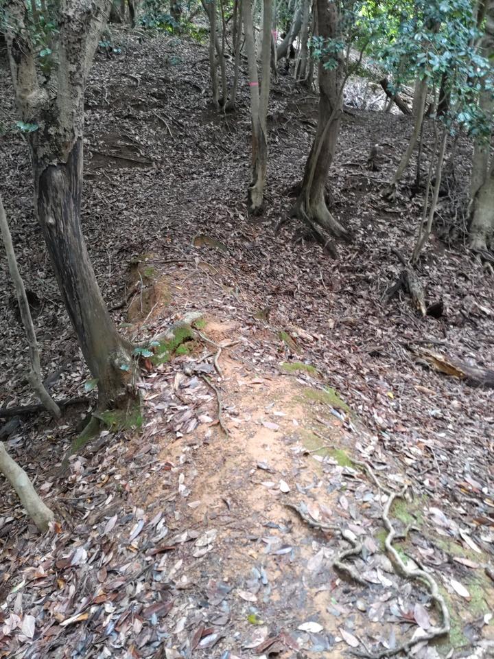 砕導山城