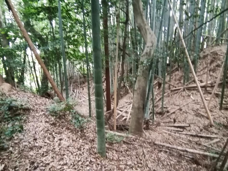 窪之庄城