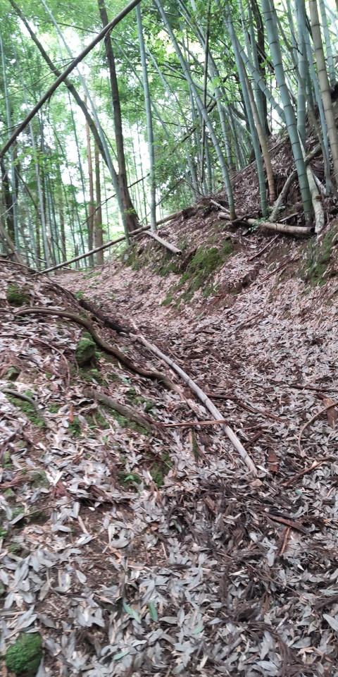成願寺城