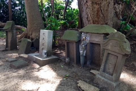 千葉城（千葉県千葉市）の詳細情報・口コミ | ニッポン城めぐり