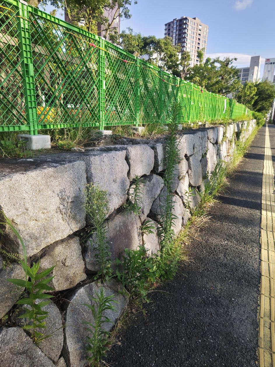 須崎台場