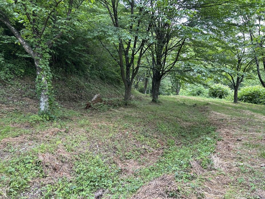 田頭城