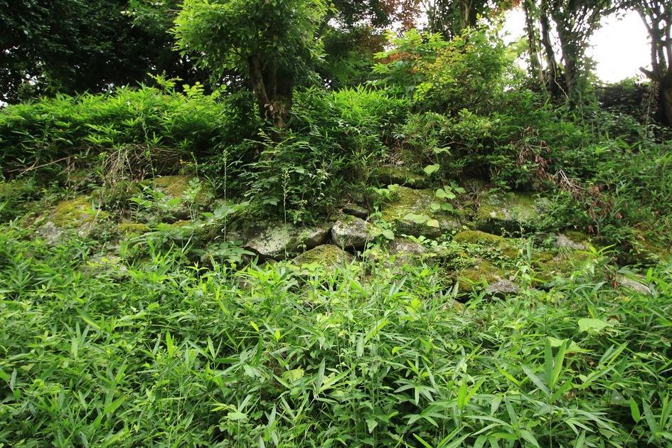 水口岡山城