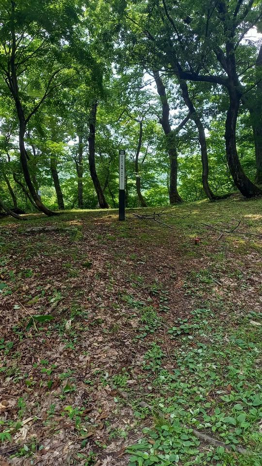 鮫ヶ尾城