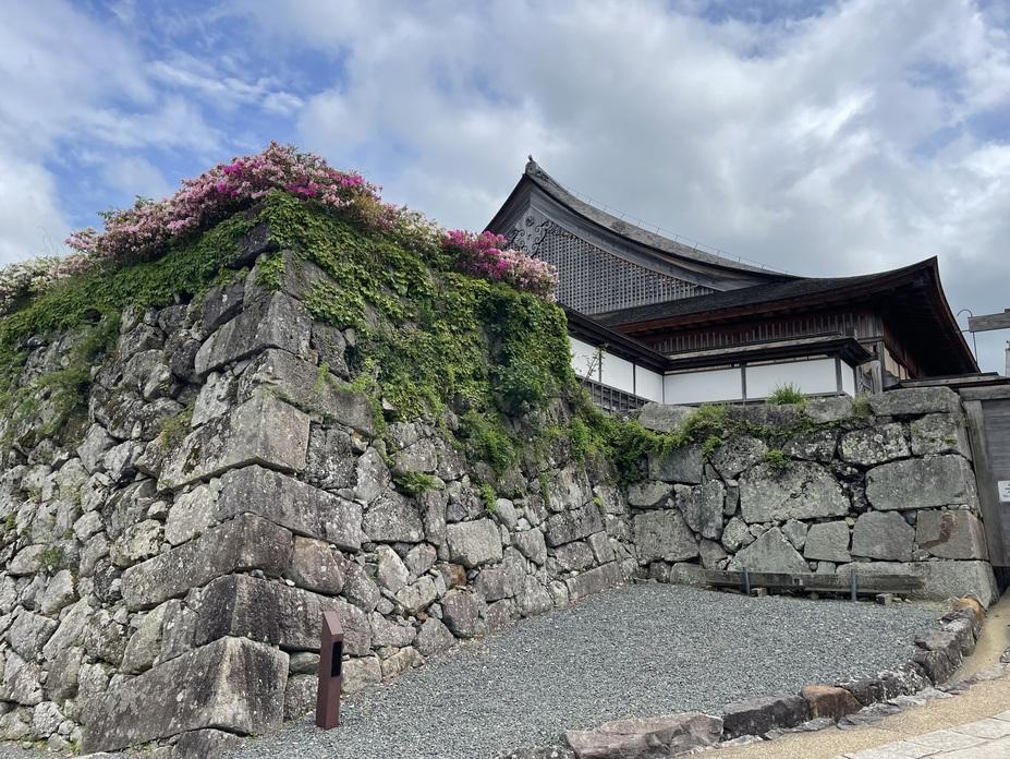 篠山城