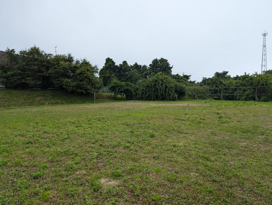 ショップチャシ