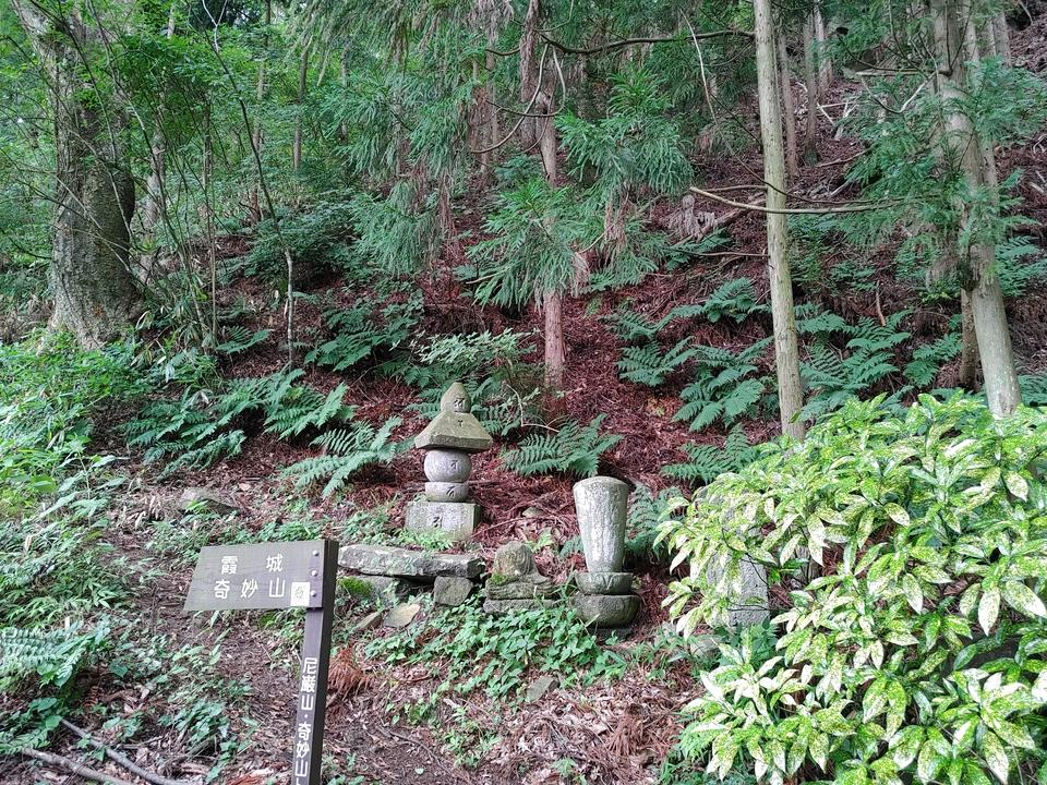 霞城