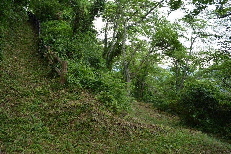 懸田城