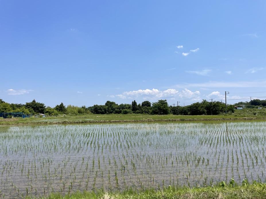 安子島城