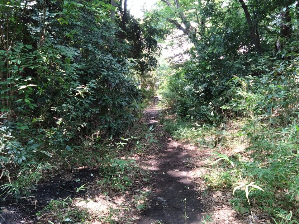 志村城