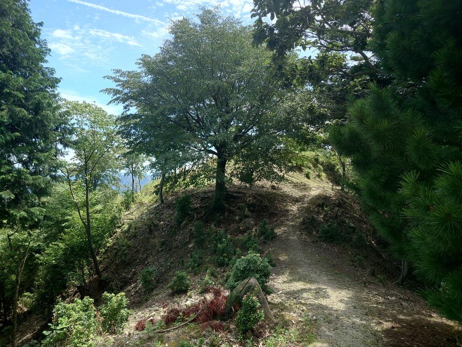 長水城