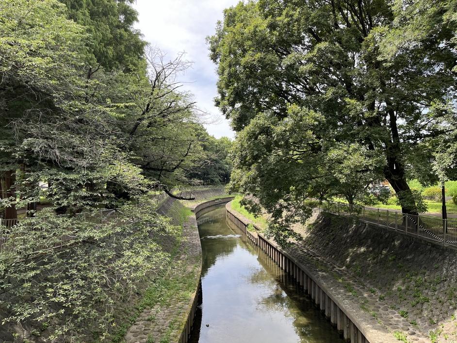 成宗城