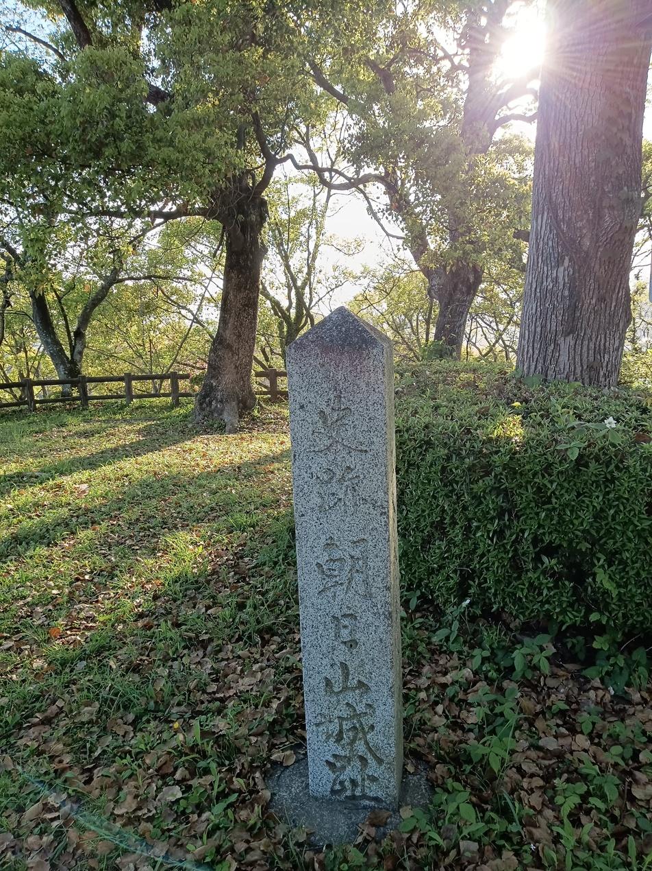朝日山城