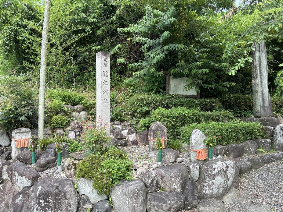鯰江城