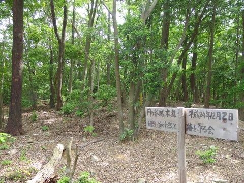 月ヶ谷城