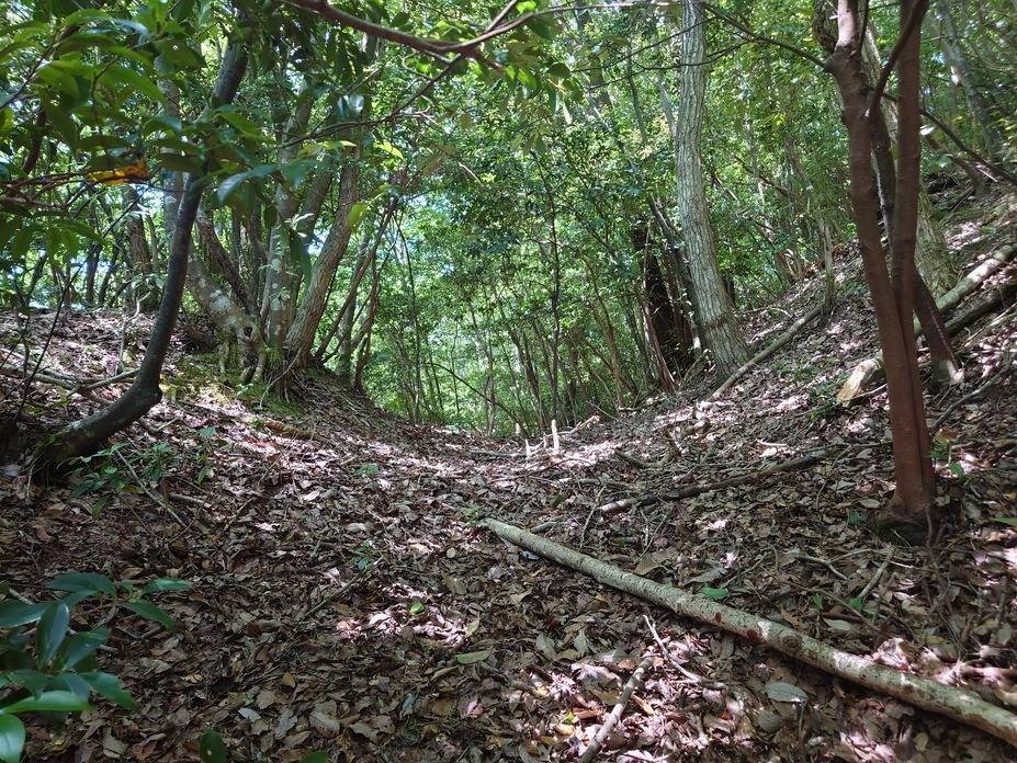 渡川城