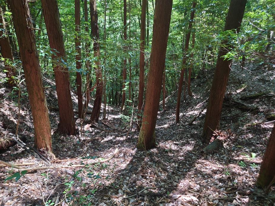 渡川城