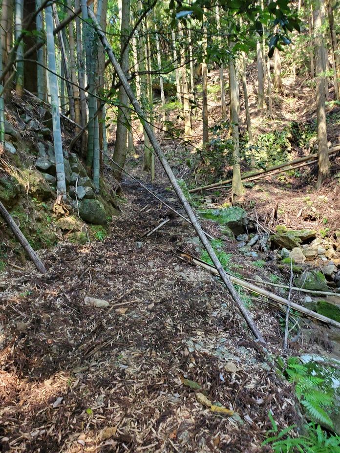 阪内城