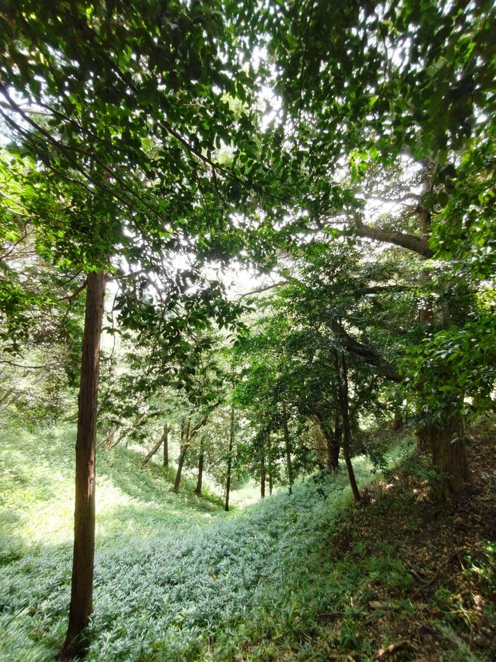 菊川城館