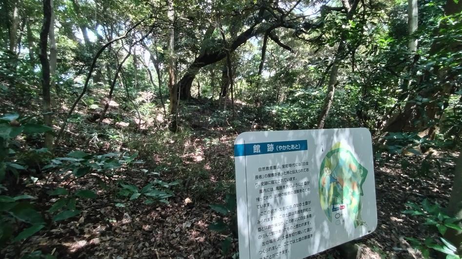 白金館