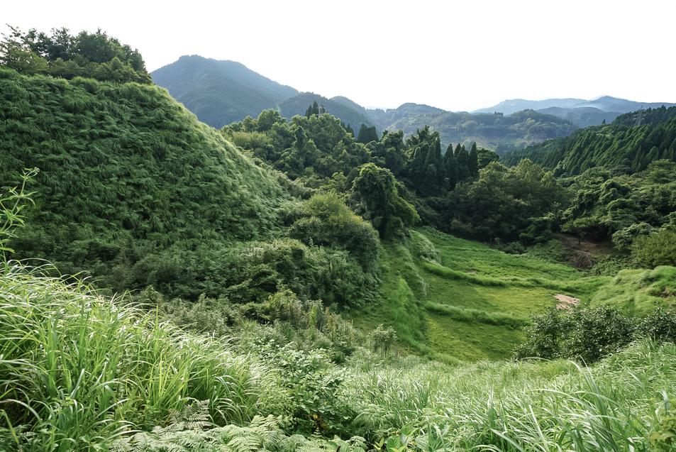 愛藤寺城