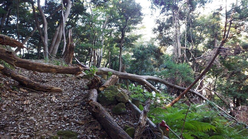 安良里城