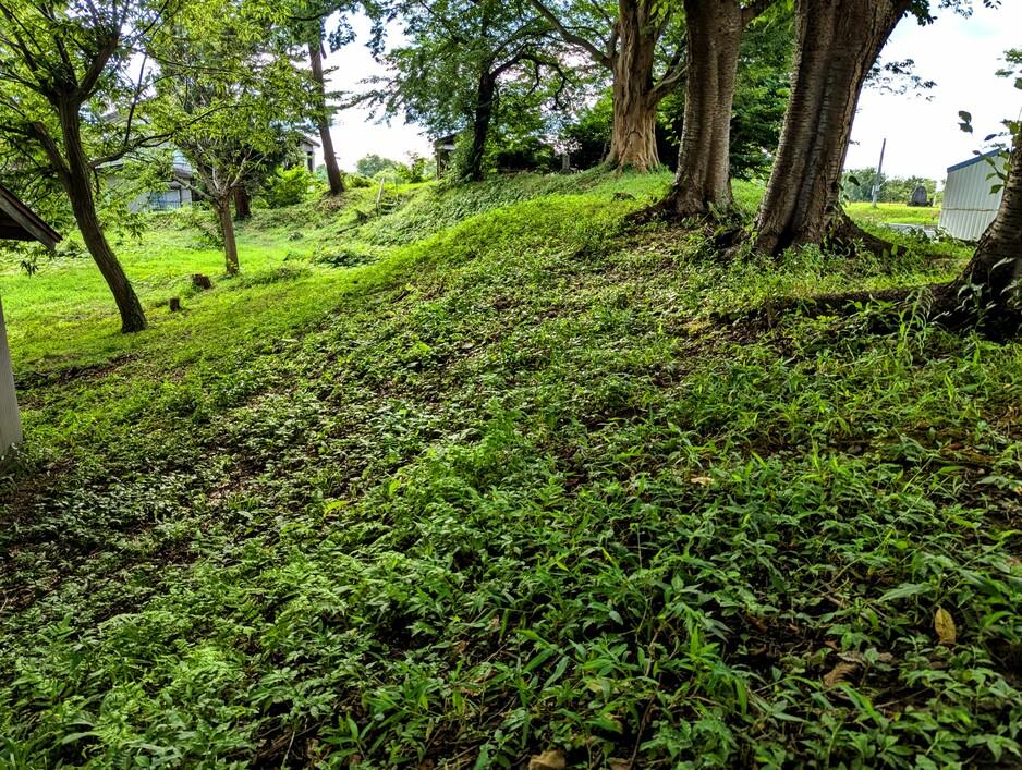 蔵王堂城