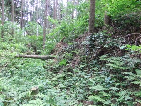 髻山城