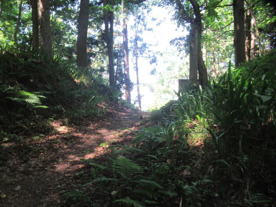 楯岡城
