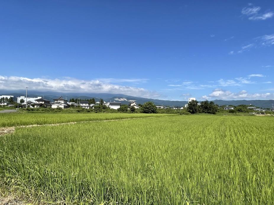 名倉城