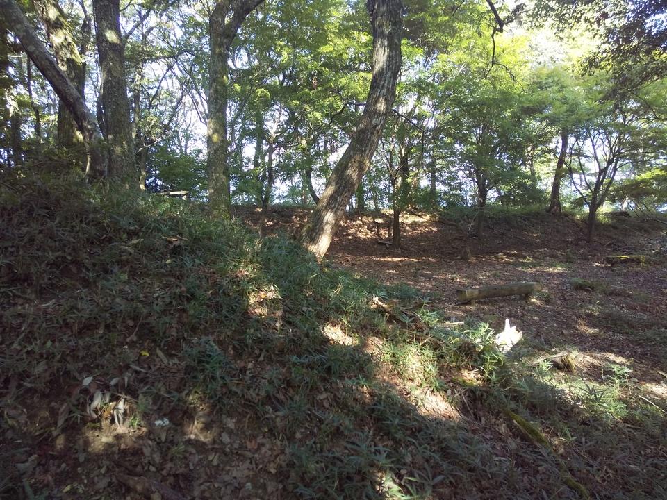 山本山城