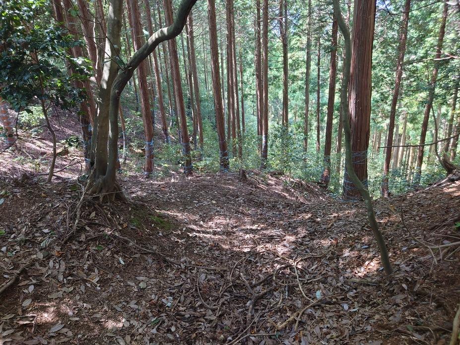西岡城