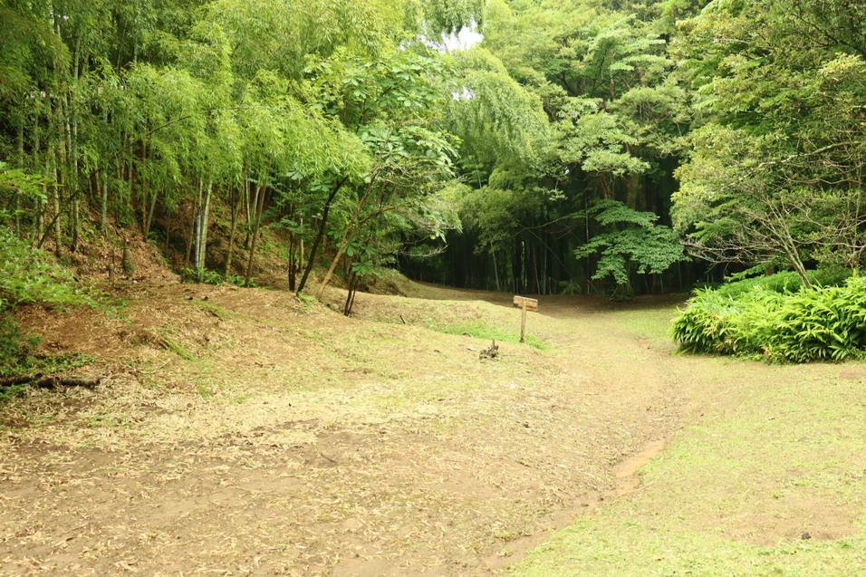 真里谷城
