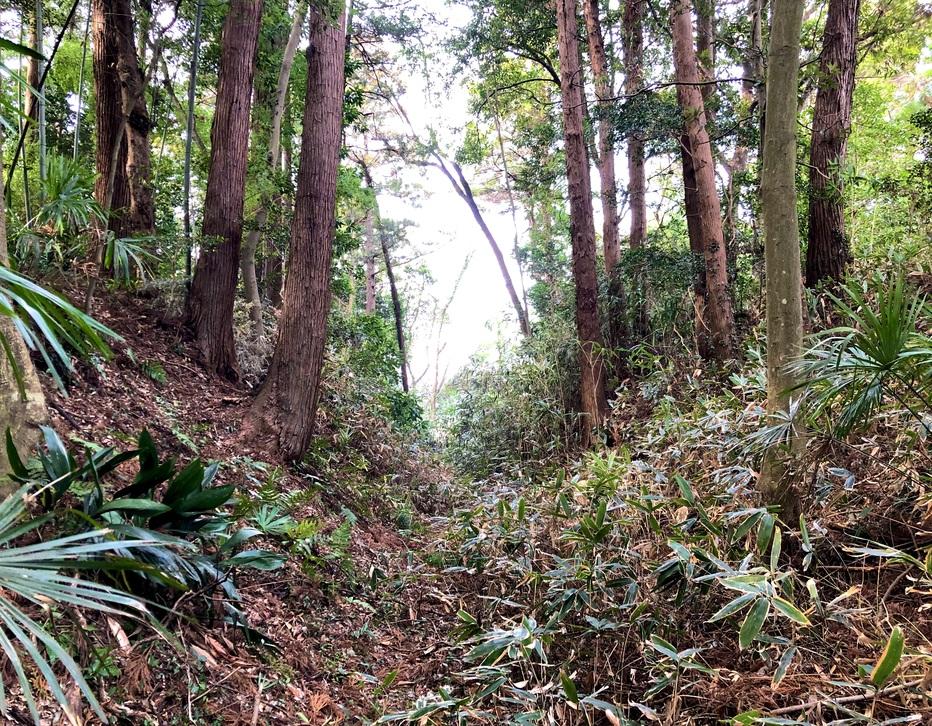 吉田城