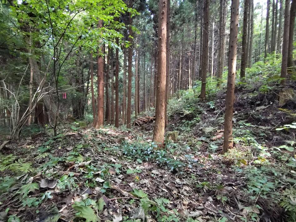 柳田館