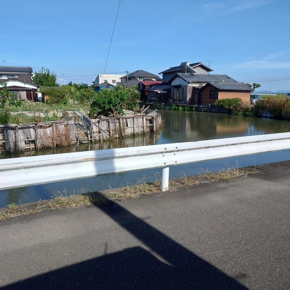 鹿江城