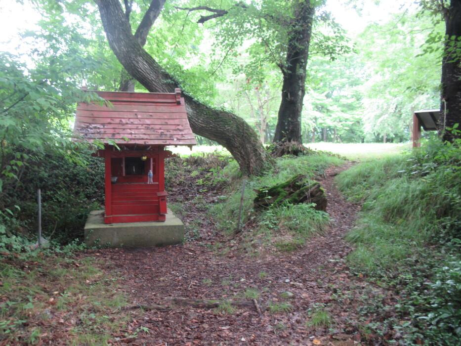 長谷堂城
