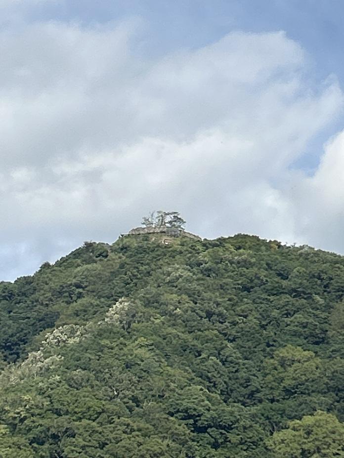 利神城