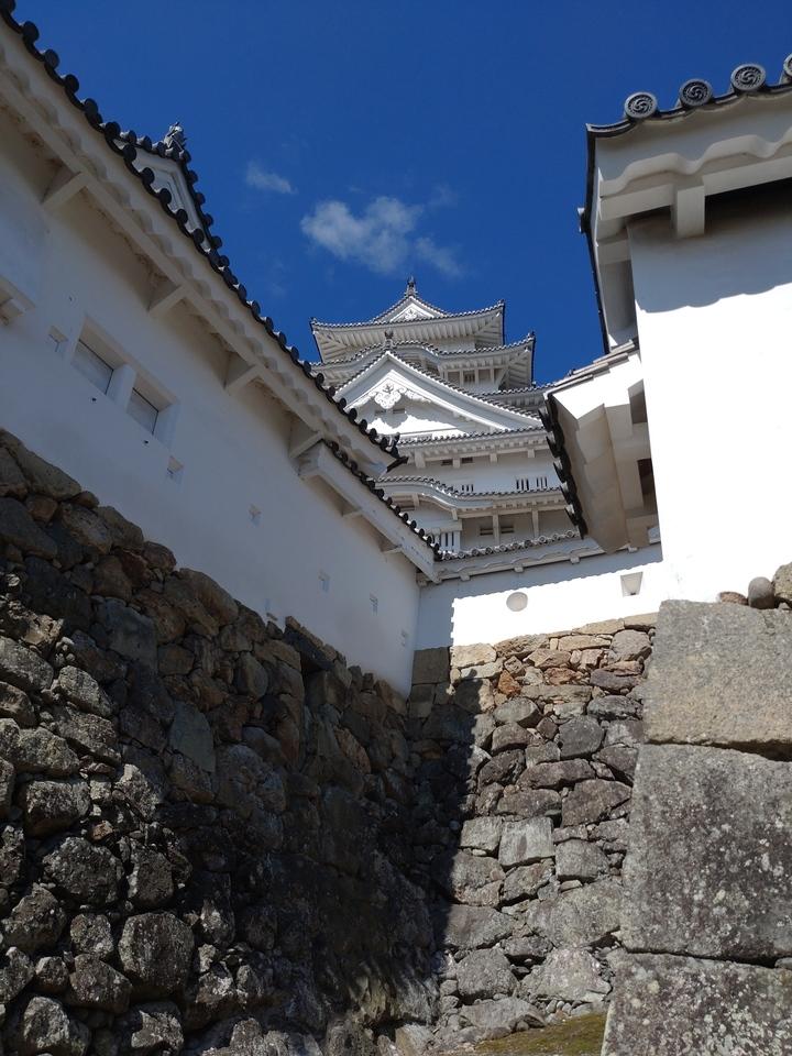 桜と姫路城の風景画　屏風式　日本画　1995年 桜と姫路城の風景画 屏風式 日本画 1995年 桜と姫路城の