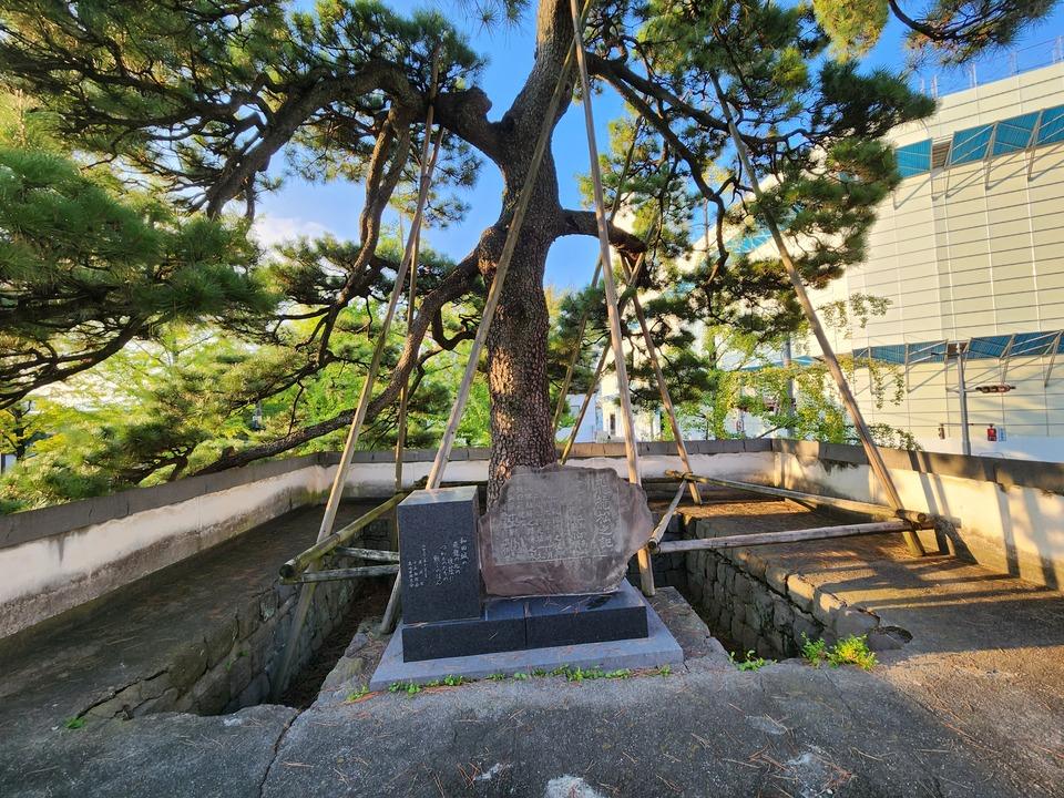 高崎城