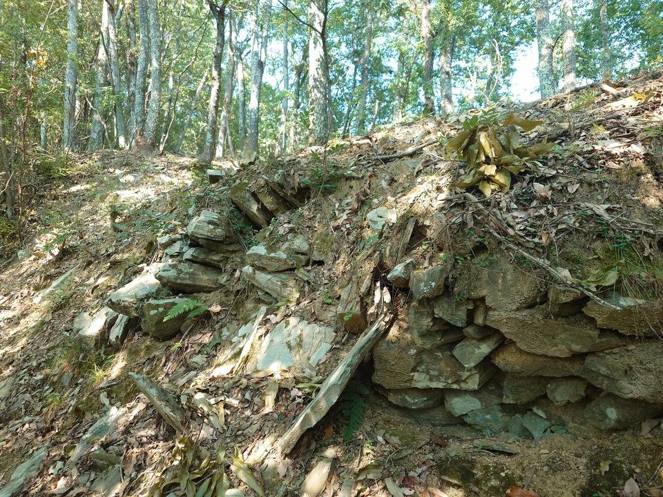 高森城