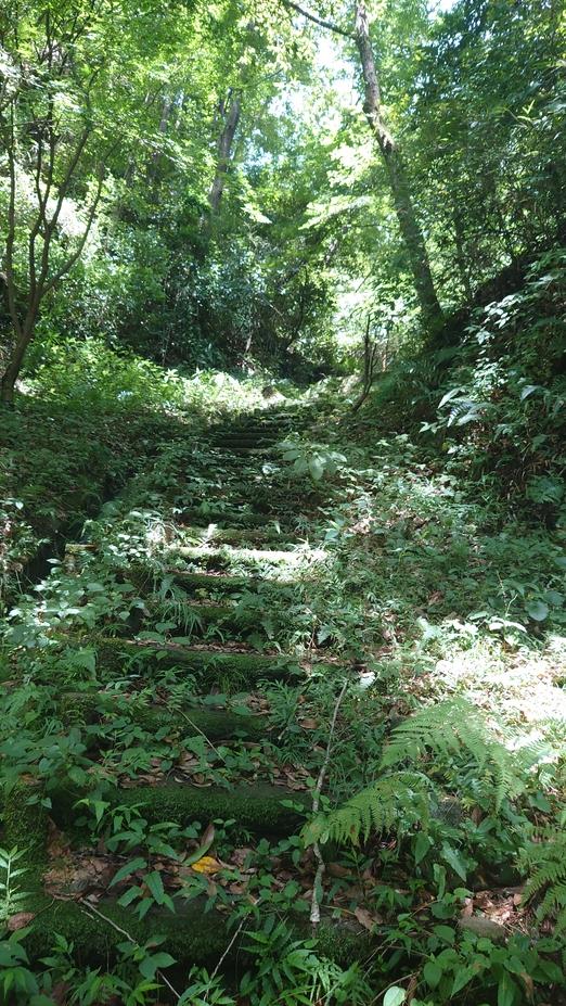 松山城